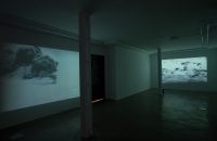 Majid Biglari, from “Testimony” series, video installation, 2018